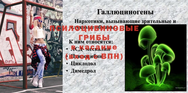 мдпв Абаза