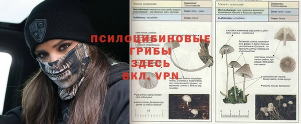 PSILOCYBIN Алексеевка